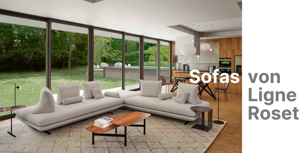 Ligne Roset Hamburg Sofas